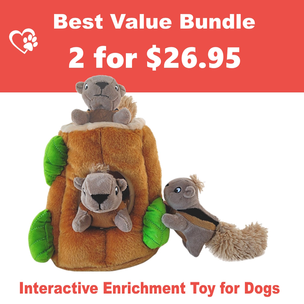 Squirrel Chase Bestselling Interactive Dog Toy