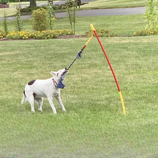 Tether Tug Interactive Dog Toy Tug-o-War