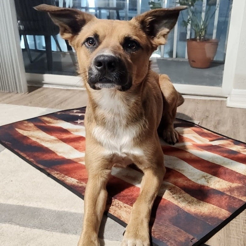 Lay 'n Go Dog Travel Mat