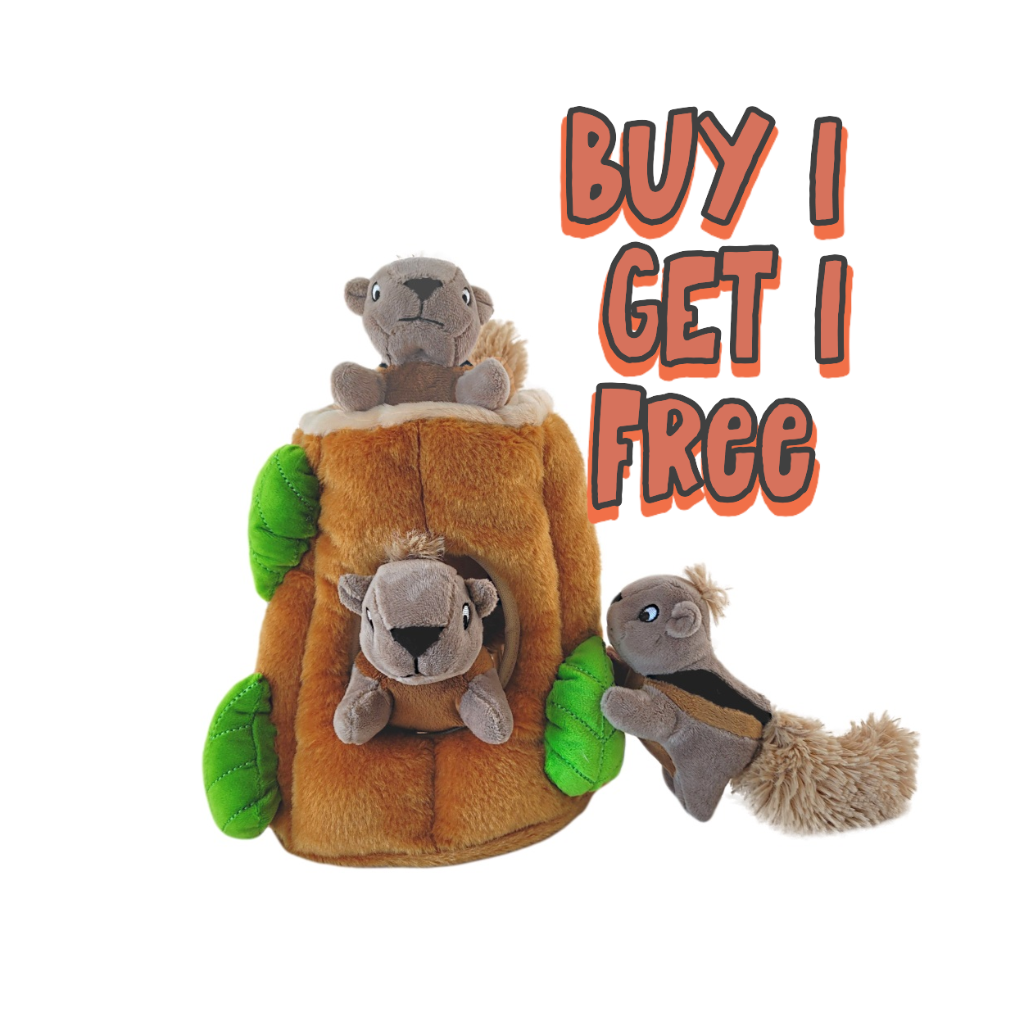 Squirrel Chase Bestselling Interactive Dog Toy