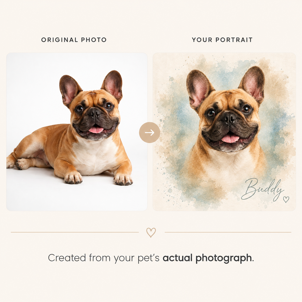 Signature Watercolor Pet Portrait
