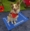 Lay 'n Go Dog Travel Mat