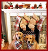 Santa Pooch Christmas Stocking