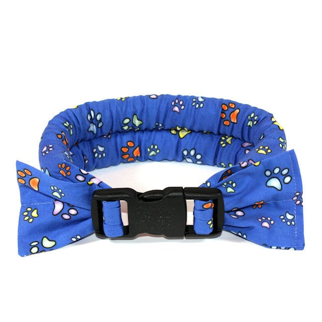 The dog is more beautiful than the cold towel, cool towel, and the fighting  dog, cooling dog collar - blue background - Shop Chubby Rainbow Clothing &  Accessories - Pinkoi