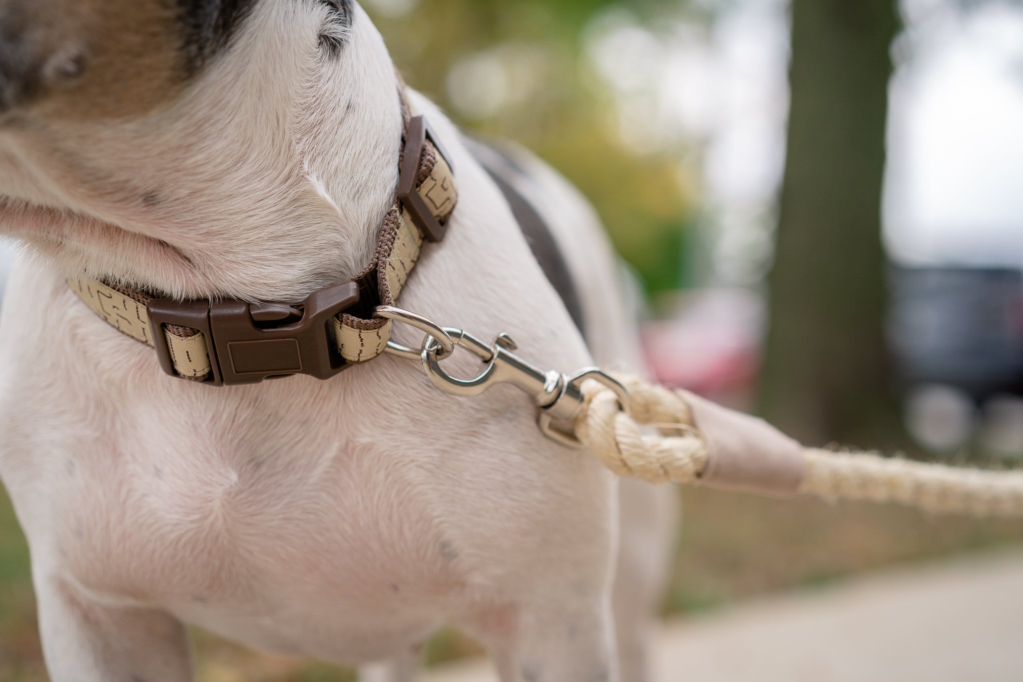 Eco-friendly Dog Leash