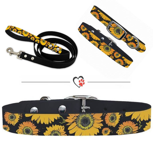Designer Collar and Leash Set