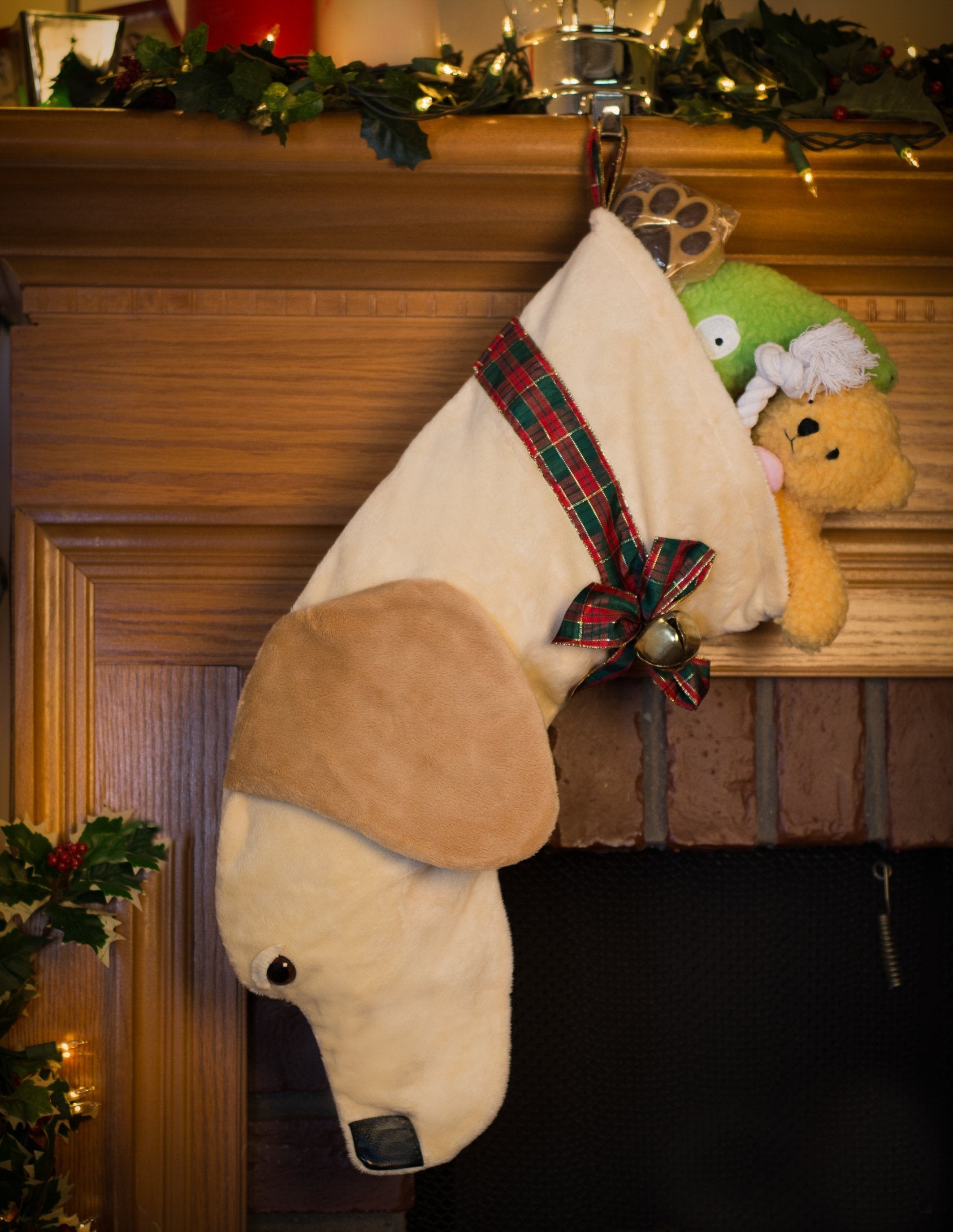 Santa Pooch Christmas Stocking