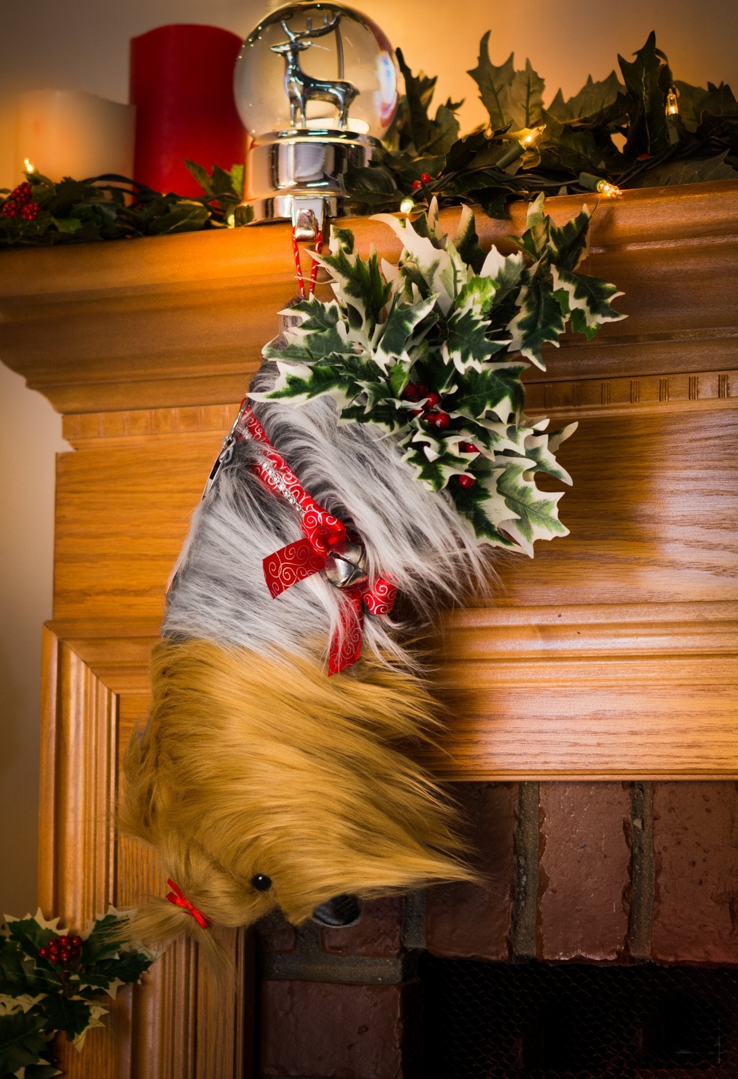 Santa Pooch Christmas Stocking