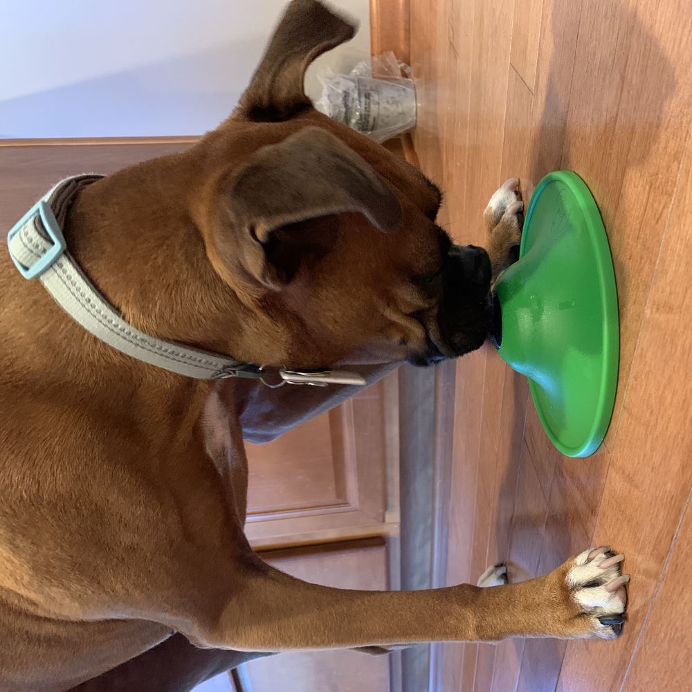 Soothing Saucer