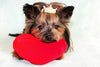 Snoozie Heartbeat Dog Pillow